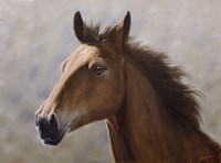 Horse Fine Art Print