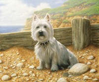 Westie 1 Fine Art Print