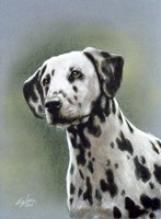 Dalmatian 1 Fine Art Print