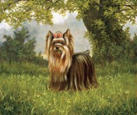 Pink Bow Fine Art Print