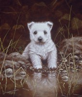Puppy 1 Fine Art Print