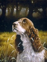 Sniffing Fine Art Print