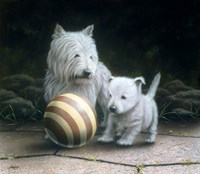 Westies Fine Art Print