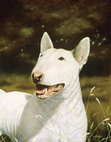 Sykes Fine Art Print