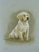 Seated Fine Art Print