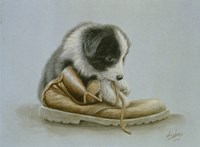 Chewing Fine Art Print