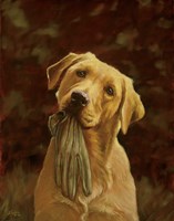 Found It! Fine Art Print