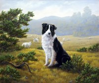 In the Glen Fine Art Print