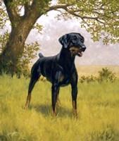 Ready to Go Fine Art Print