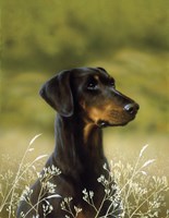 Poised Fine Art Print