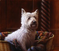 Westie 7 Fine Art Print