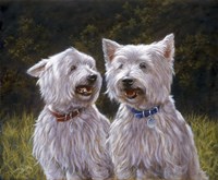 Westie 8 Fine Art Print