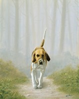 Down the Path Fine Art Print