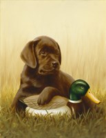 Mallard Fine Art Print