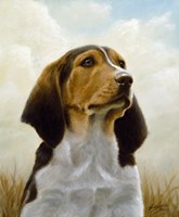 Floppy Fine Art Print