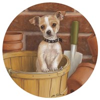 Chihuahua In Basket Fine Art Print