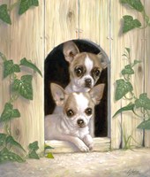 Chihuahua's In Doghouse Fine Art Print