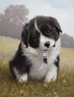 Time Catcher Fine Art Print