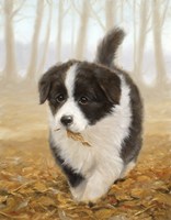 Litterbug Fine Art Print