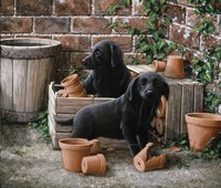 Among the Flower Pots Fine Art Print