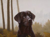 Waiting for the Signal Fine Art Print