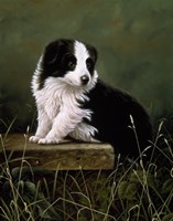 Poised Fine Art Print