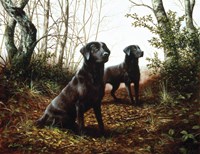 Country Companions 1 Fine Art Print
