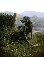 Country Companions 2 Fine Art Print