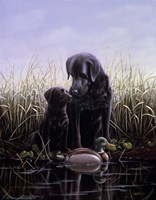 Tender Fine Art Print
