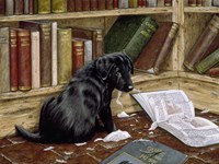 Caught Fine Art Print