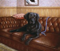 Couch Lazy Fine Art Print