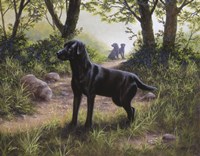 On Alert Fine Art Print