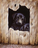 Framed Fine Art Print