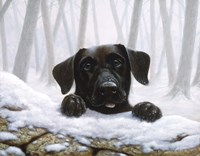 Frozen Fine Art Print