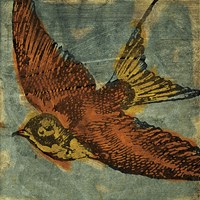 Bird Collage No 1 Fine Art Print