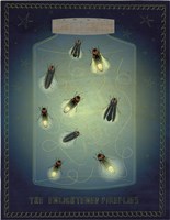 Lightning Bugs Fine Art Print