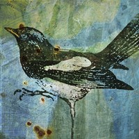 Magpie Fine Art Print