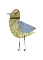 Ring-necked Blue-winged Celery Bird Fine Art Print