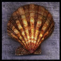 Blush Rose Fine Art Print