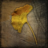 Gingko 1 Fine Art Print