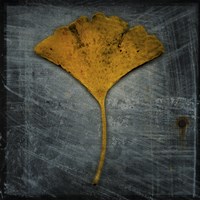 Gingko 2 Fine Art Print