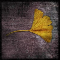 Gingko 4 Fine Art Print