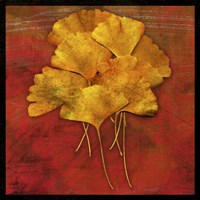Gingkos #2 Fine Art Print