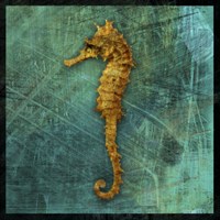Seahorse Fine Art Print