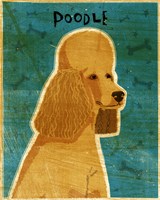 Apricot Poodle Fine Art Print
