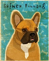 French Bulldog Fawn & White Fine Art Print