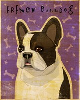 French Bulldog - Whiten Brindle Fine Art Print