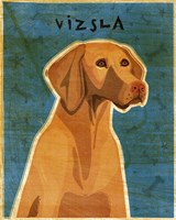 Vizsla Fine Art Print