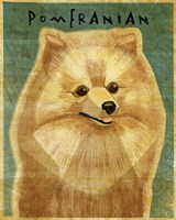 Pomeranian Fine Art Print