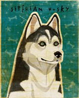 Siberian Husky Fine Art Print